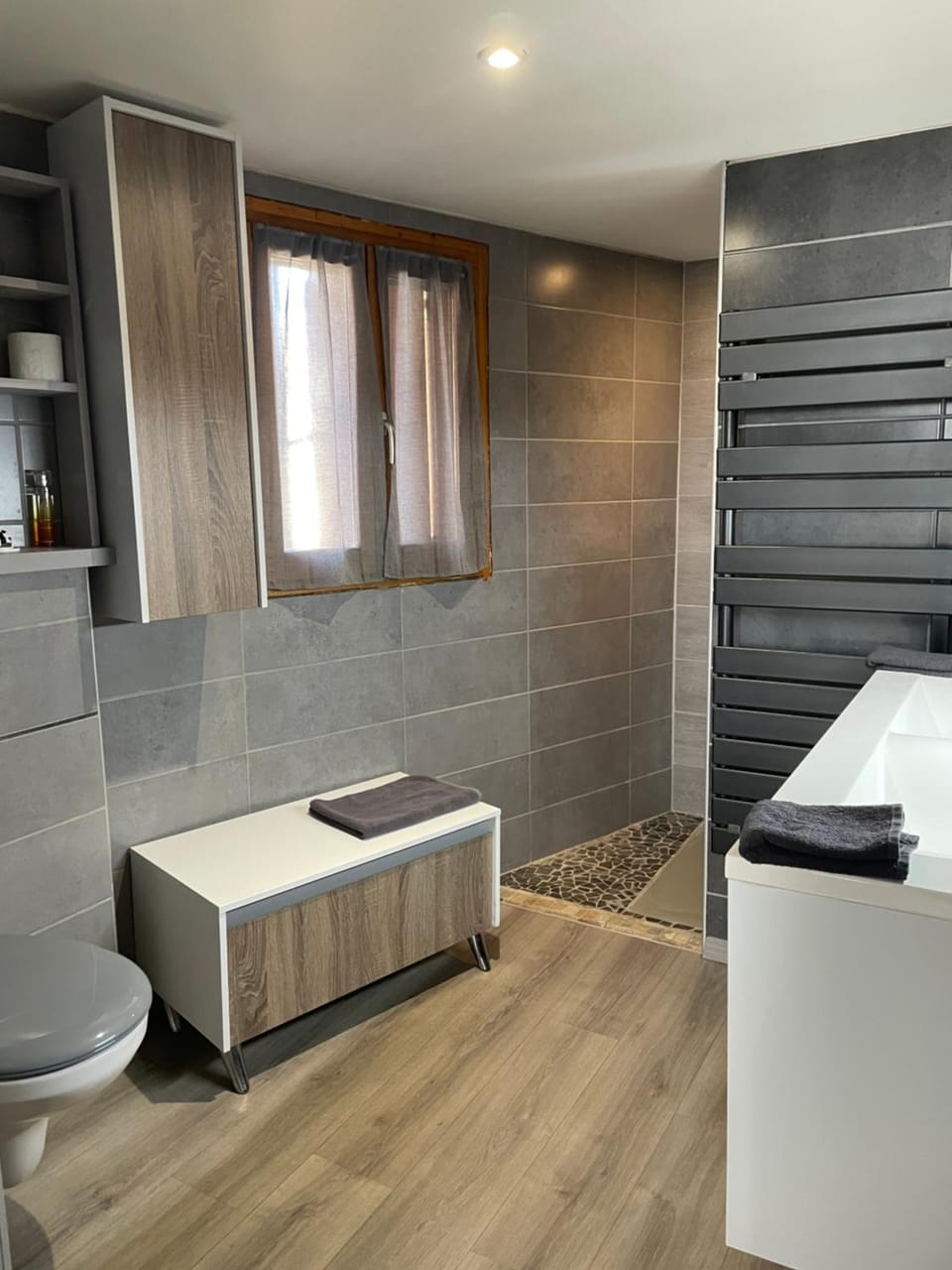 Shower, Toilet