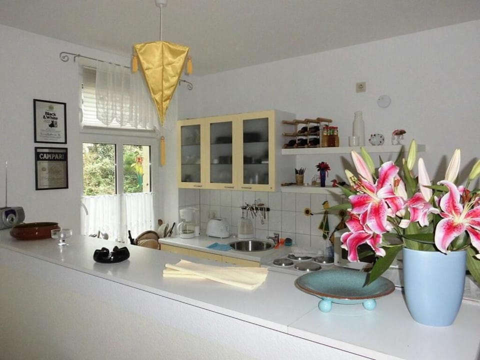Kitchen or kitchenette, Other