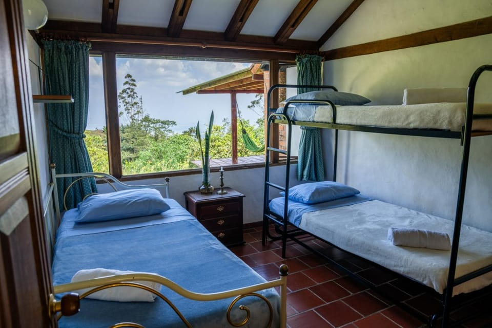 Bed, Photo of the whole room, Garden view, bunk bed