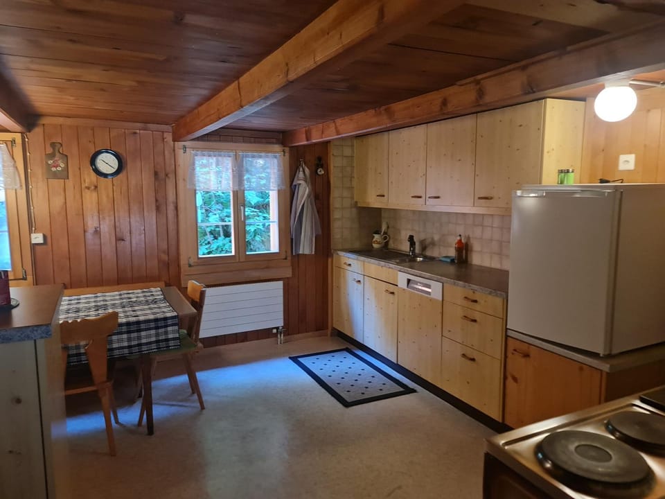 Kitchen or kitchenette, Dining area, dishwasher, oven, stove