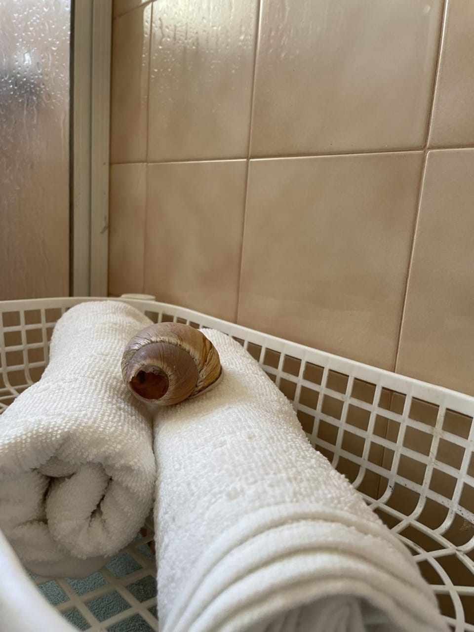 Sand Guest House Torreira Villa in Aveiro District, Portugal