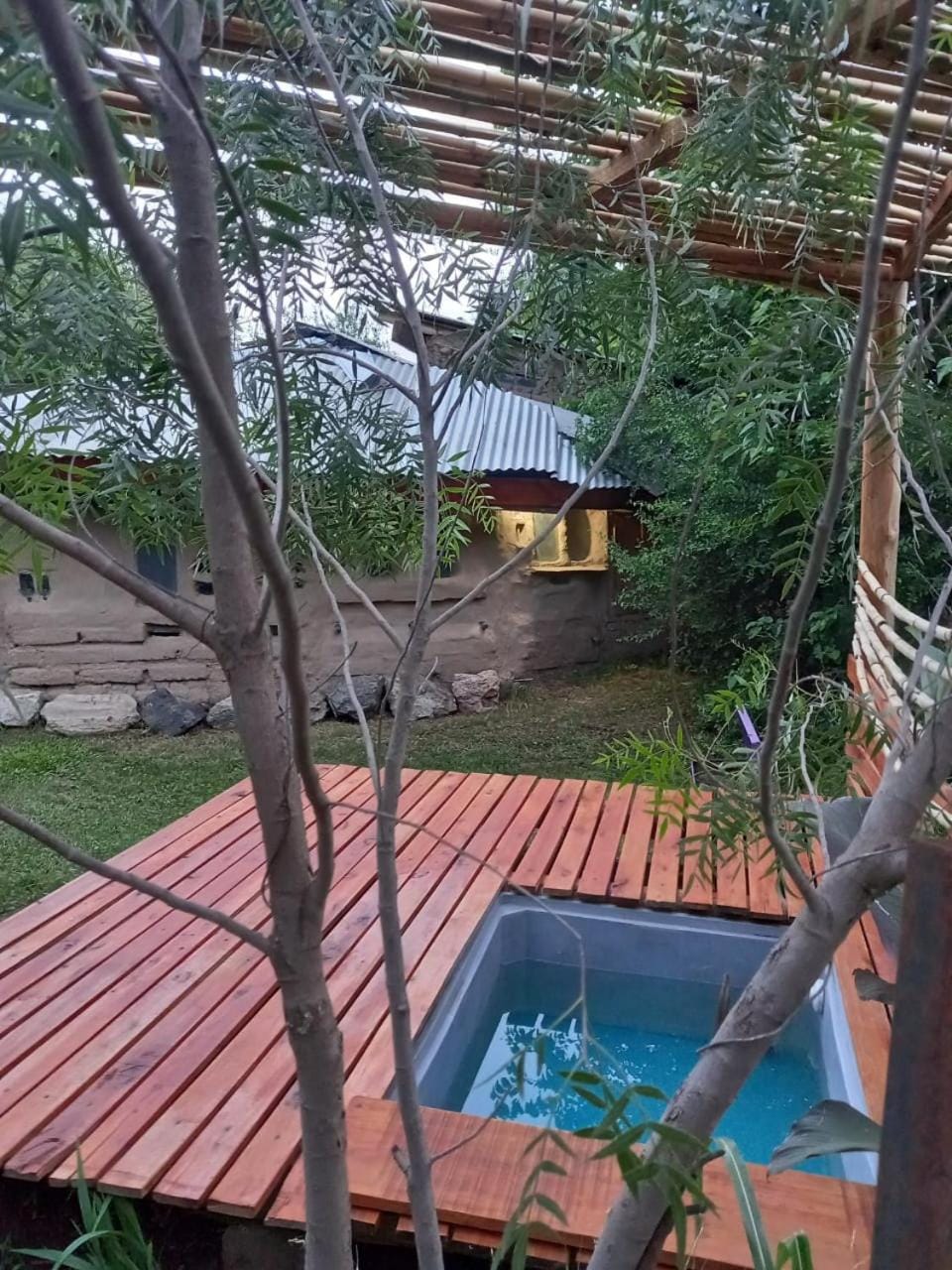 Day, Natural landscape, Garden, Garden view, Pool view, Swimming pool