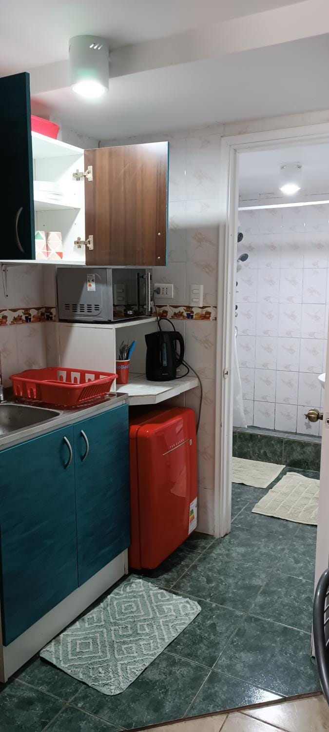 Departamento un ambiente Apartment in Vina del Mar