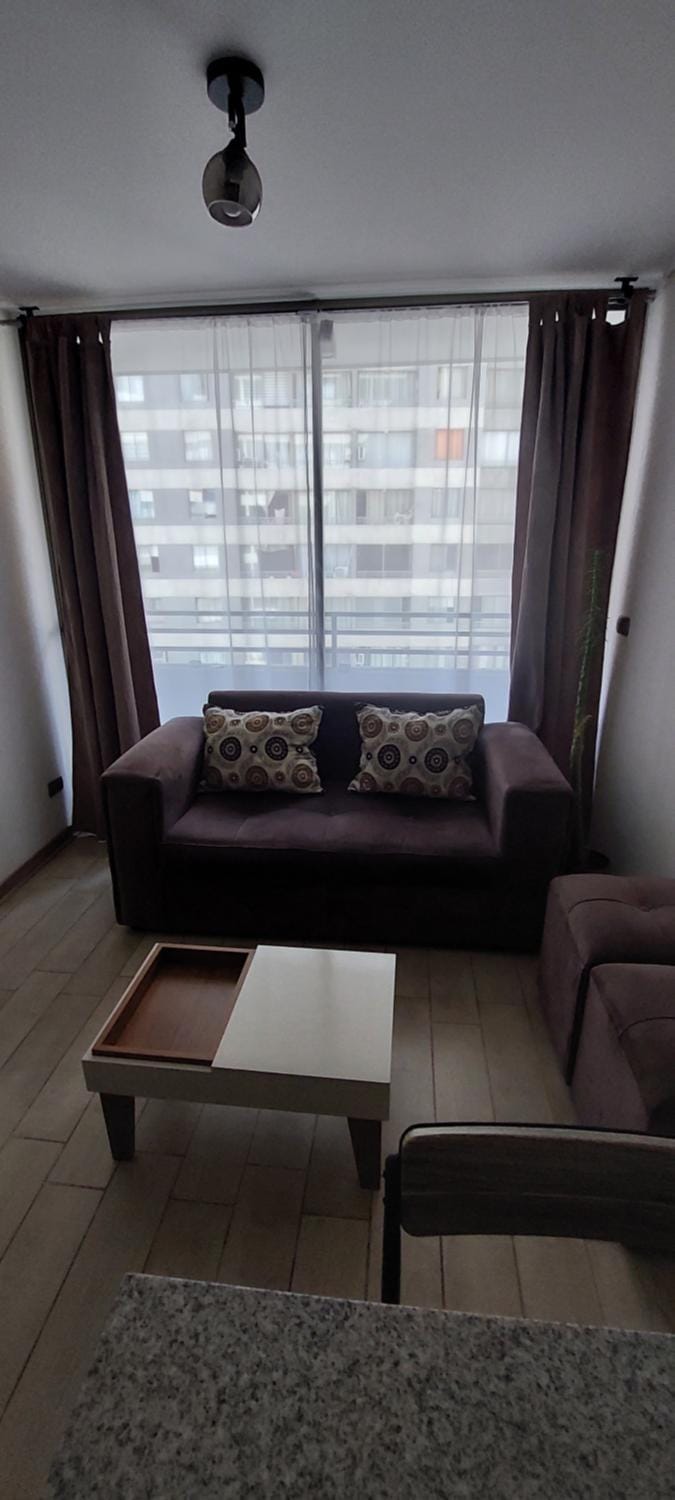 Atractivo y acogedor espacio. Apartment in Santiago