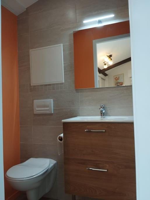 Toilet, Bathroom