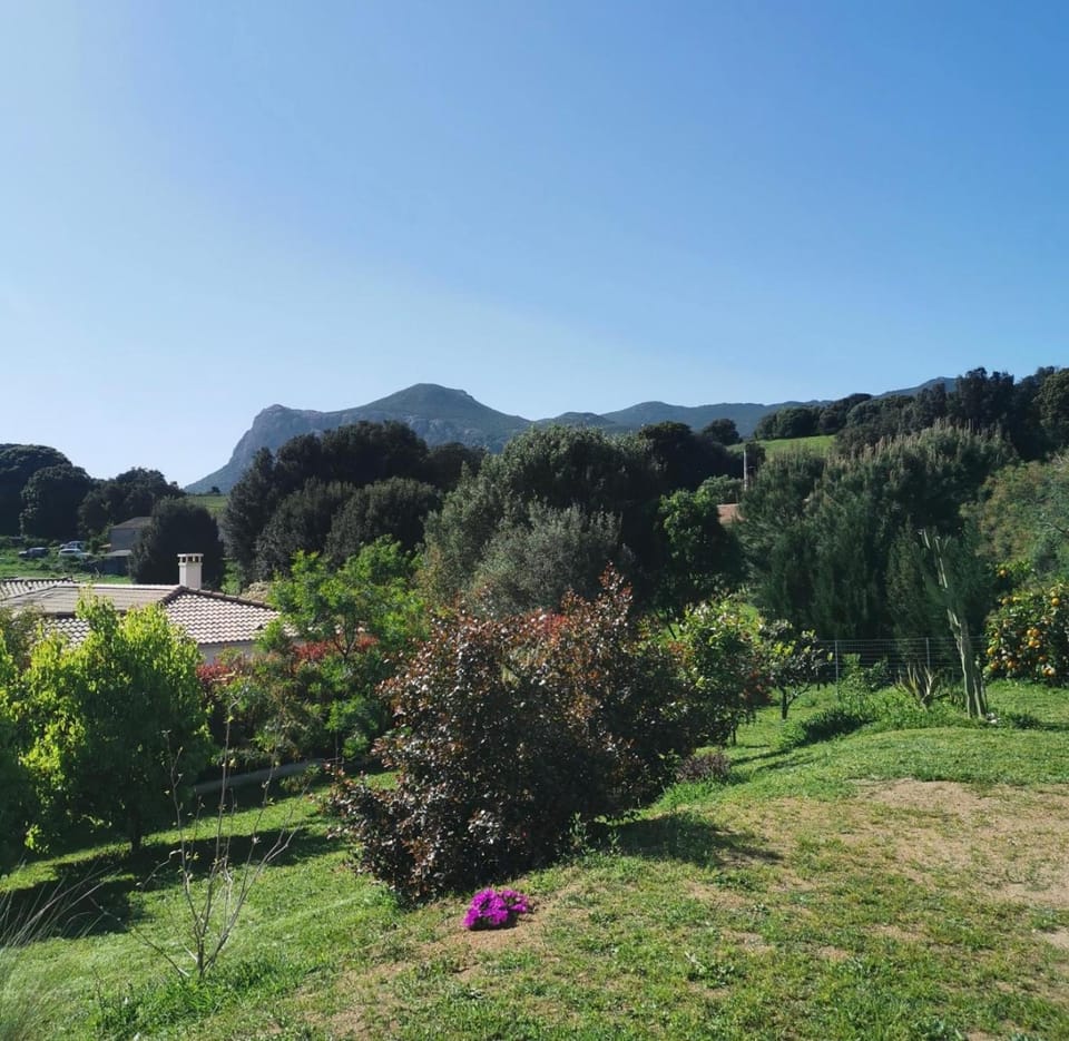 Mountain view