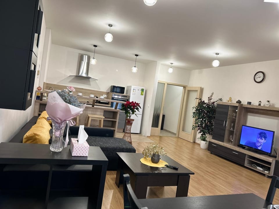 Apartmán v srdci Poděbrad 100m2 Apartment in Czechia