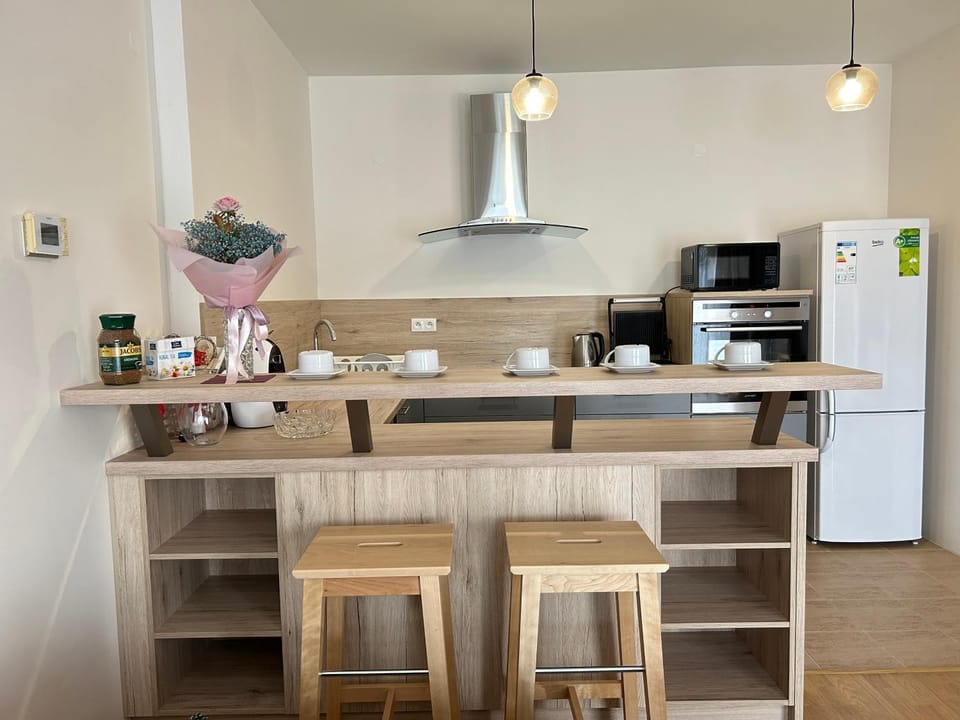 Apartmán v srdci Poděbrad 100m2 Apartment in Czechia
