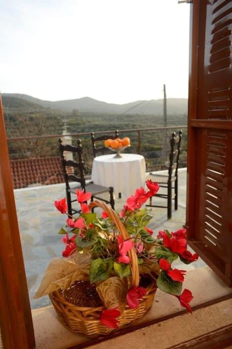 Property building, Patio, Day, People, Natural landscape, View (from property/room), Balcony/Terrace, Dining area, On site, Mountain view
