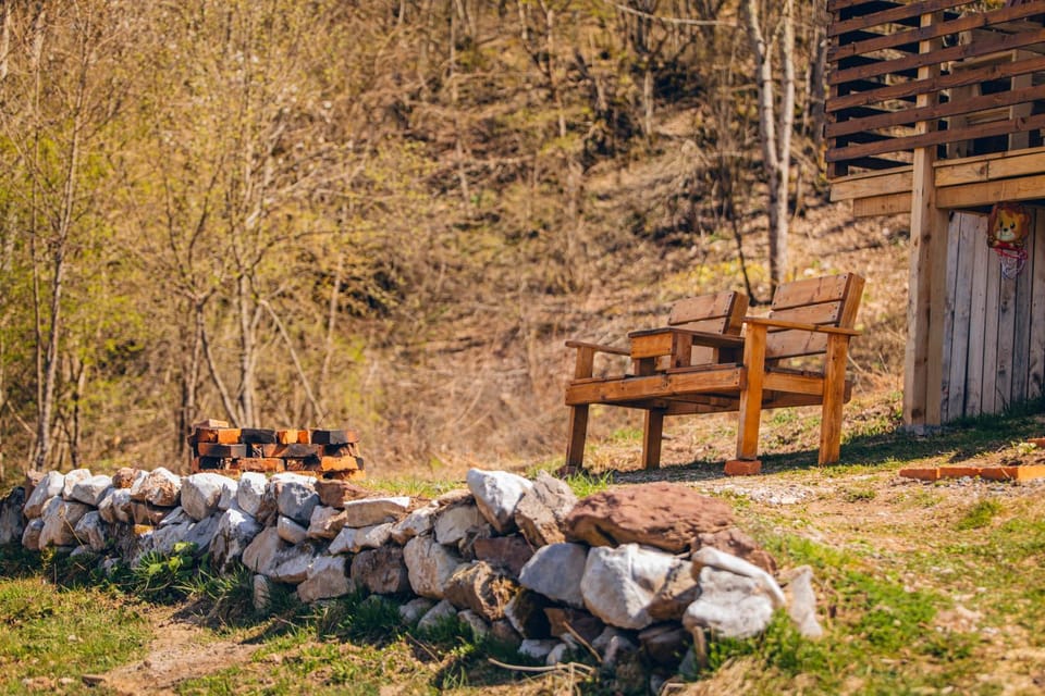 Spring, Day, Natural landscape