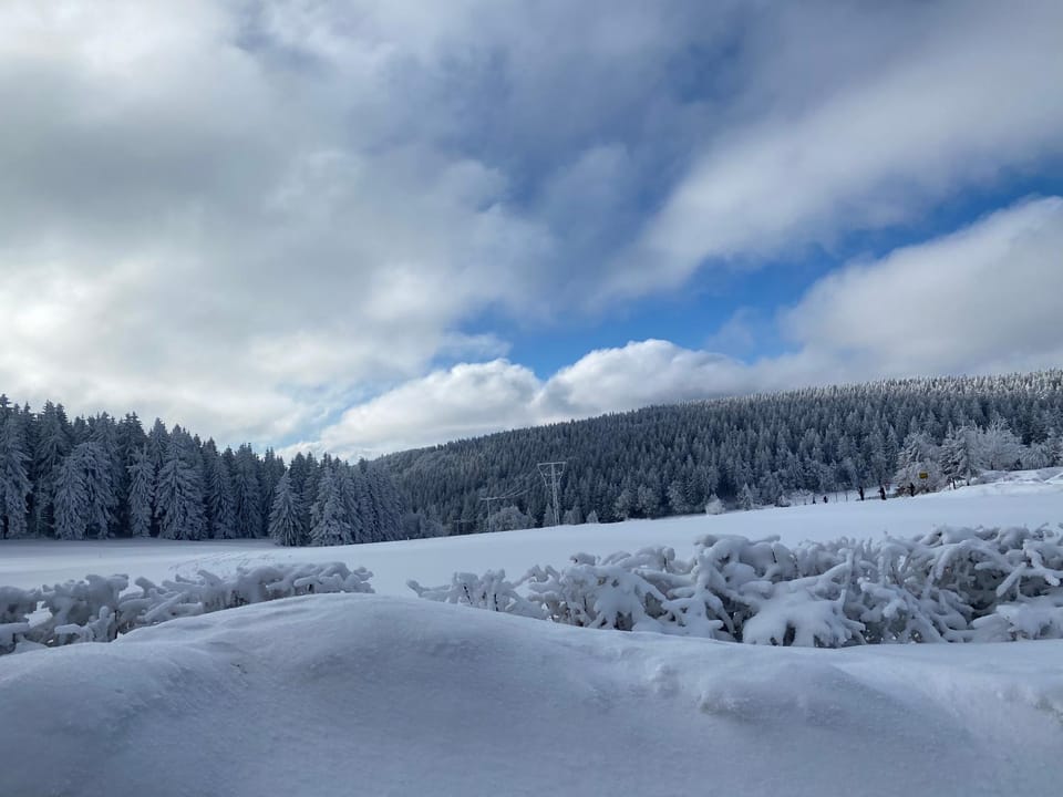 Natural landscape, Winter, Skiing