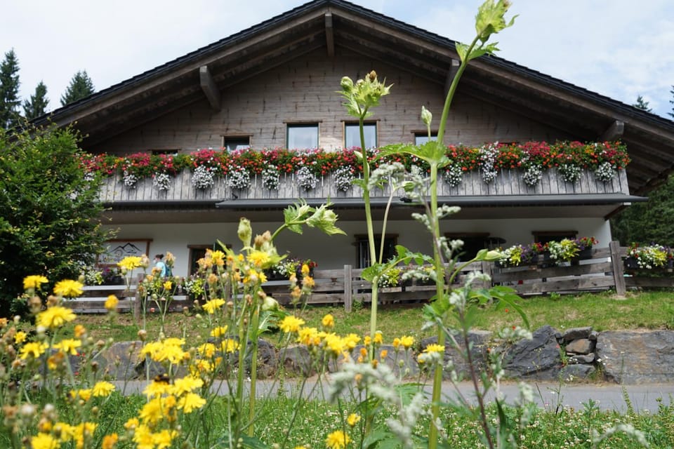 Property building, Spring, Garden view