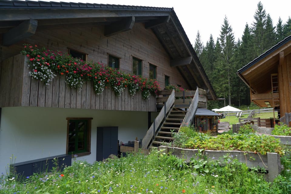 Toilet, Property building, Spring, Day, View (from property/room), Seating area, Garden view