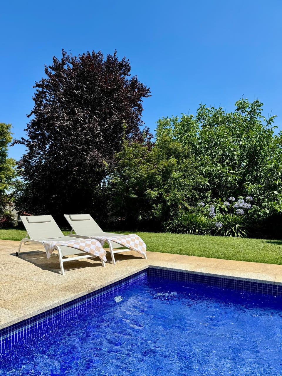 Garden, Garden view, Pool view, Swimming pool, sunbed