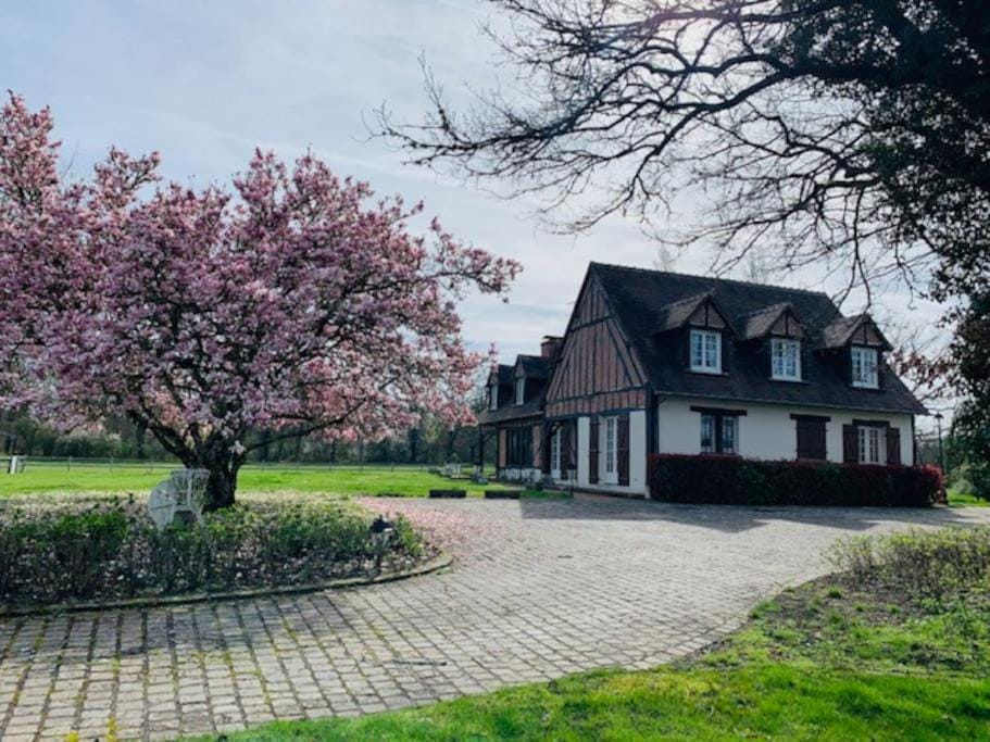 Propriété 12 personnes en Sologne House in Centre-Val de Loire
