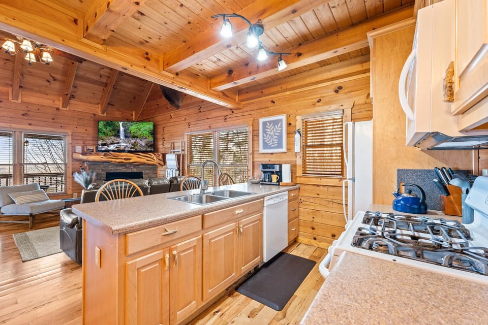 Kitchen or kitchenette, dishwasher, stove