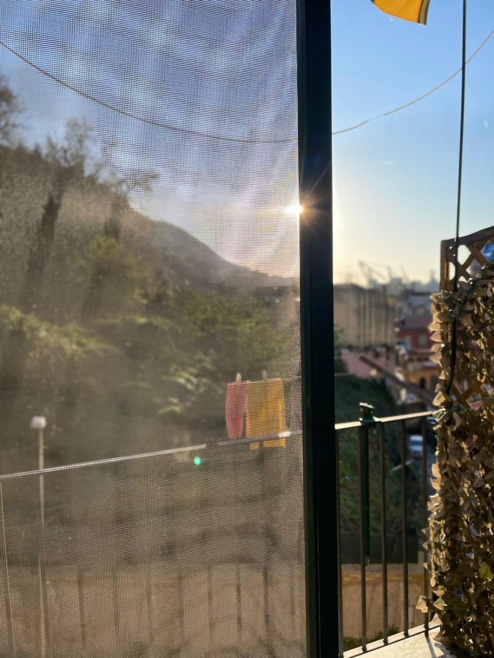 Mountain view