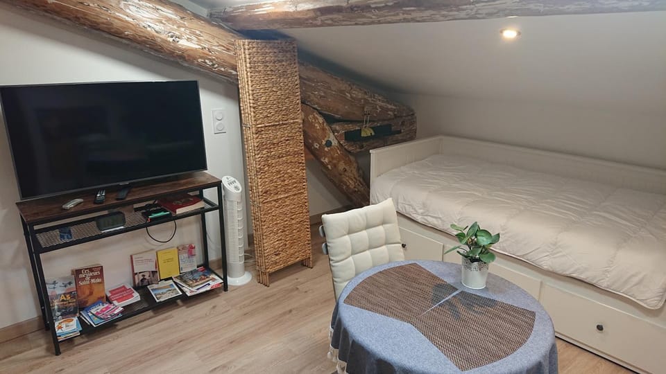 Communal lounge/ TV room, Bed, TV and multimedia