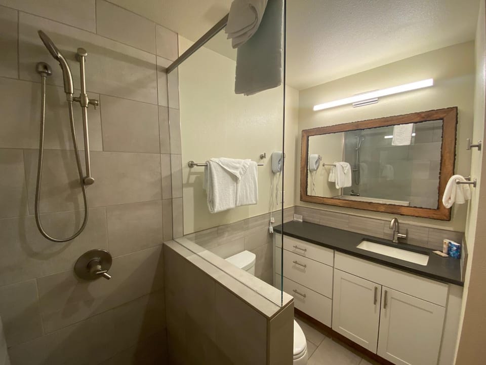 Slopeside 2770A by SummitCove Lodging in Colorado House in Keystone