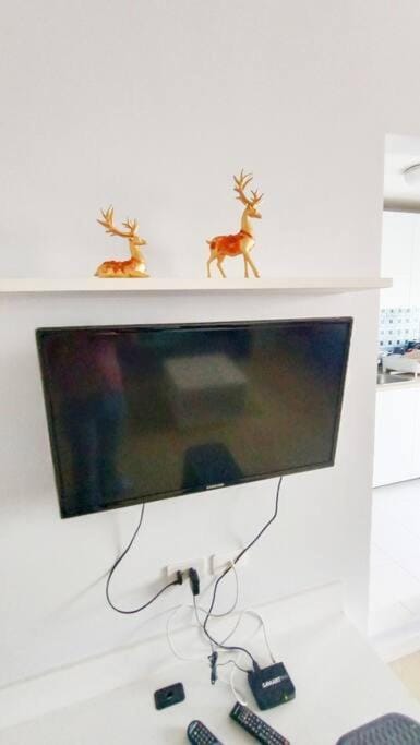 TV and multimedia