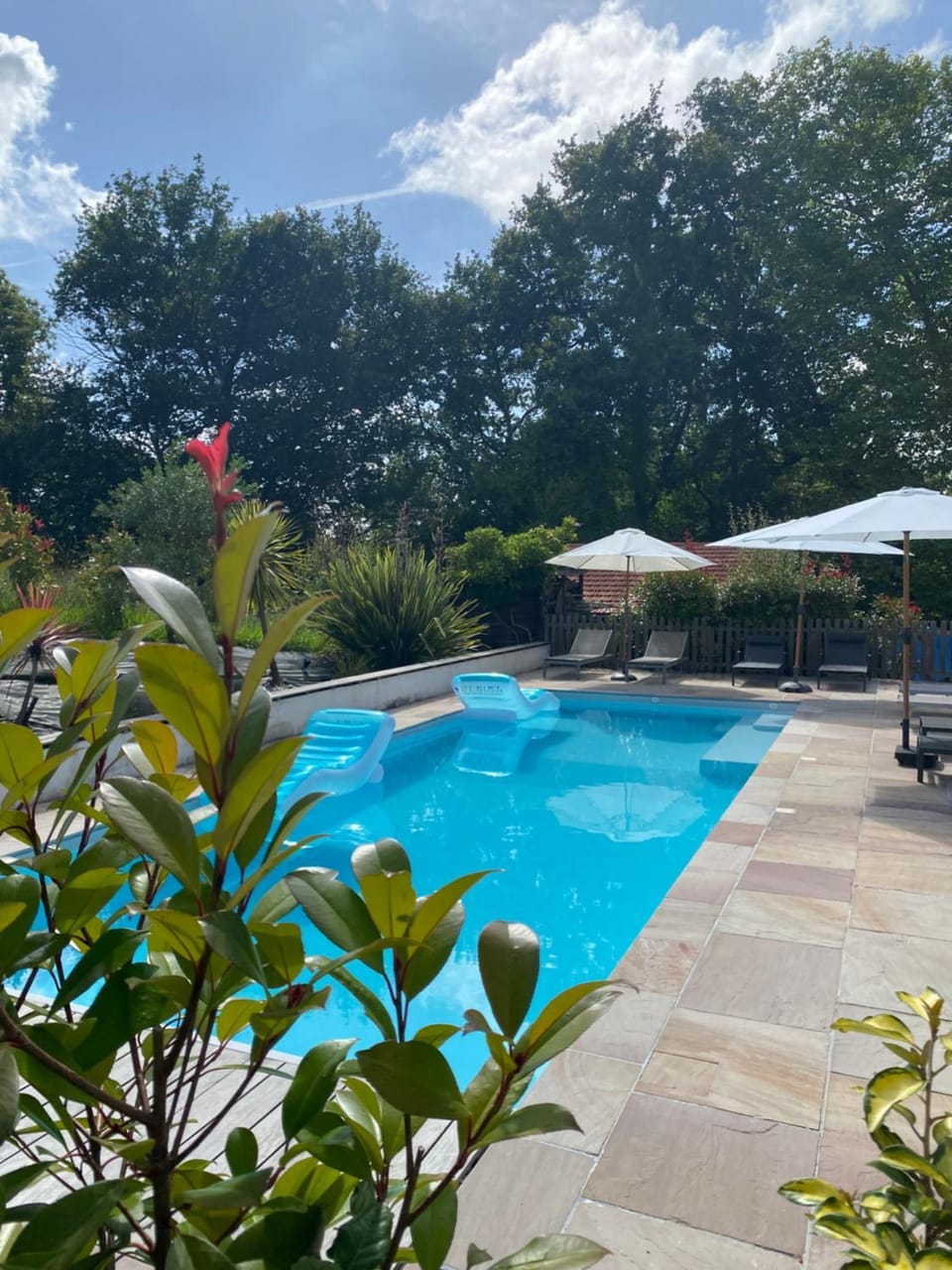 Swimming pool, sunbed