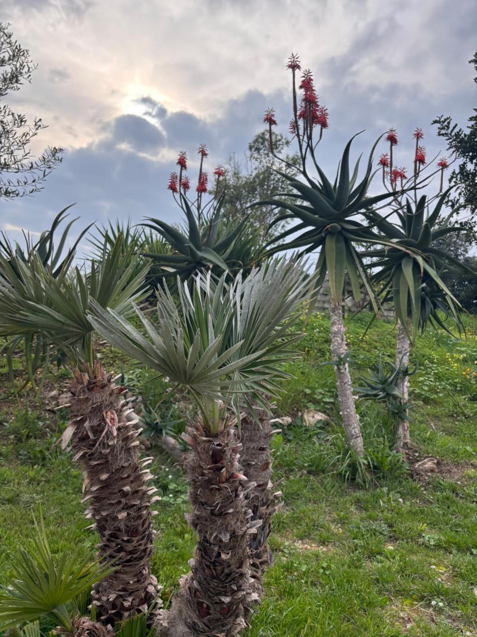Mari e monti House in Gaeta