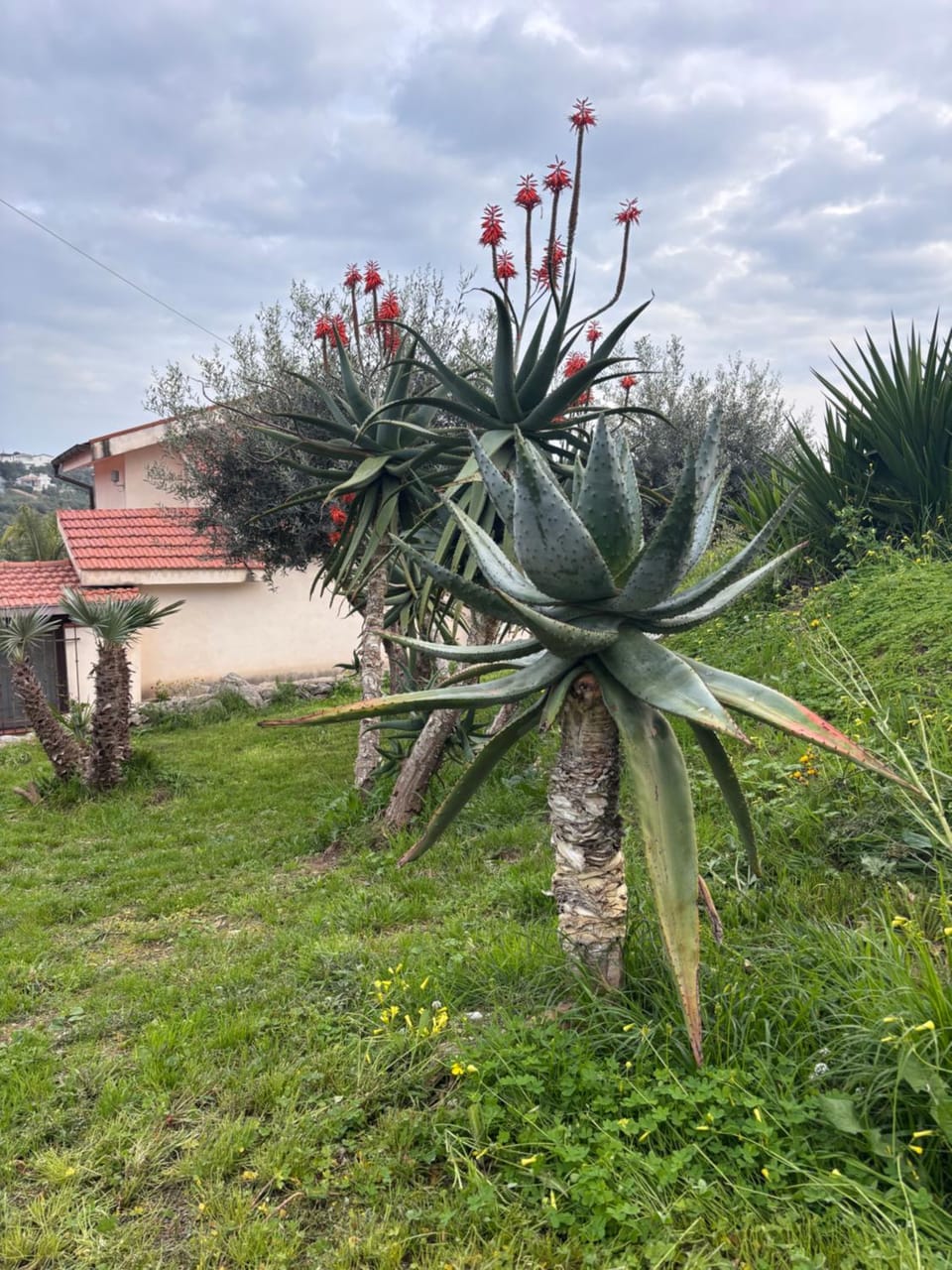 Mari e monti House in Gaeta
