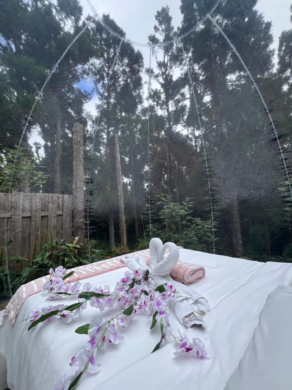 KAZ INSOLITE Luxury tent in Réunion