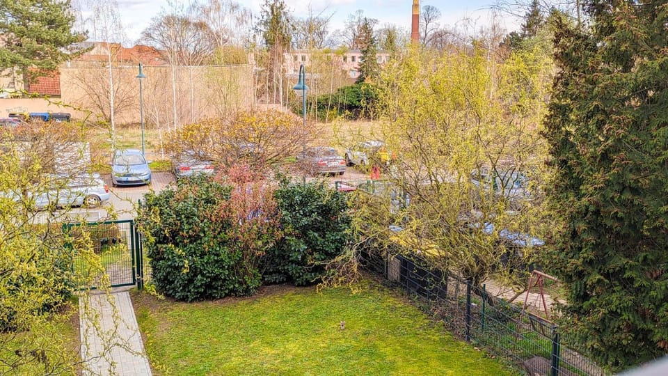 Natural landscape, Garden, Garden view