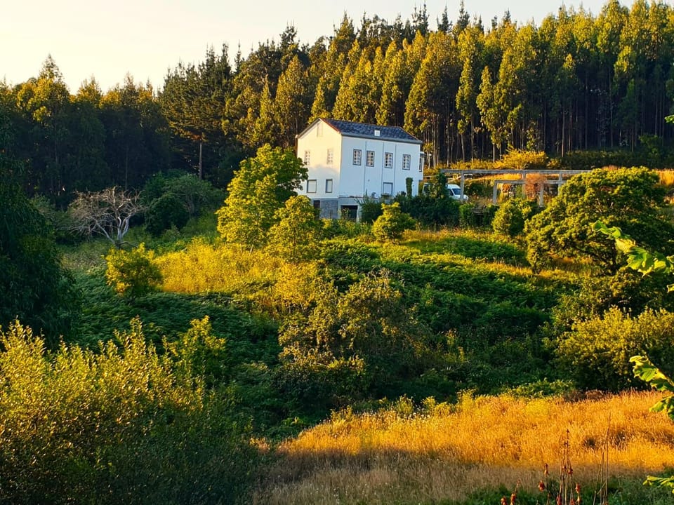 Property building, Activities
