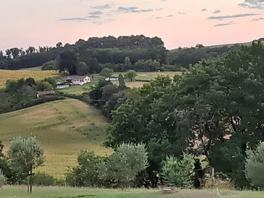 Mountain view