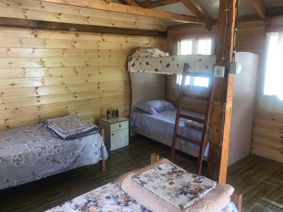 Bujtina Diti Chalet in Montenegro