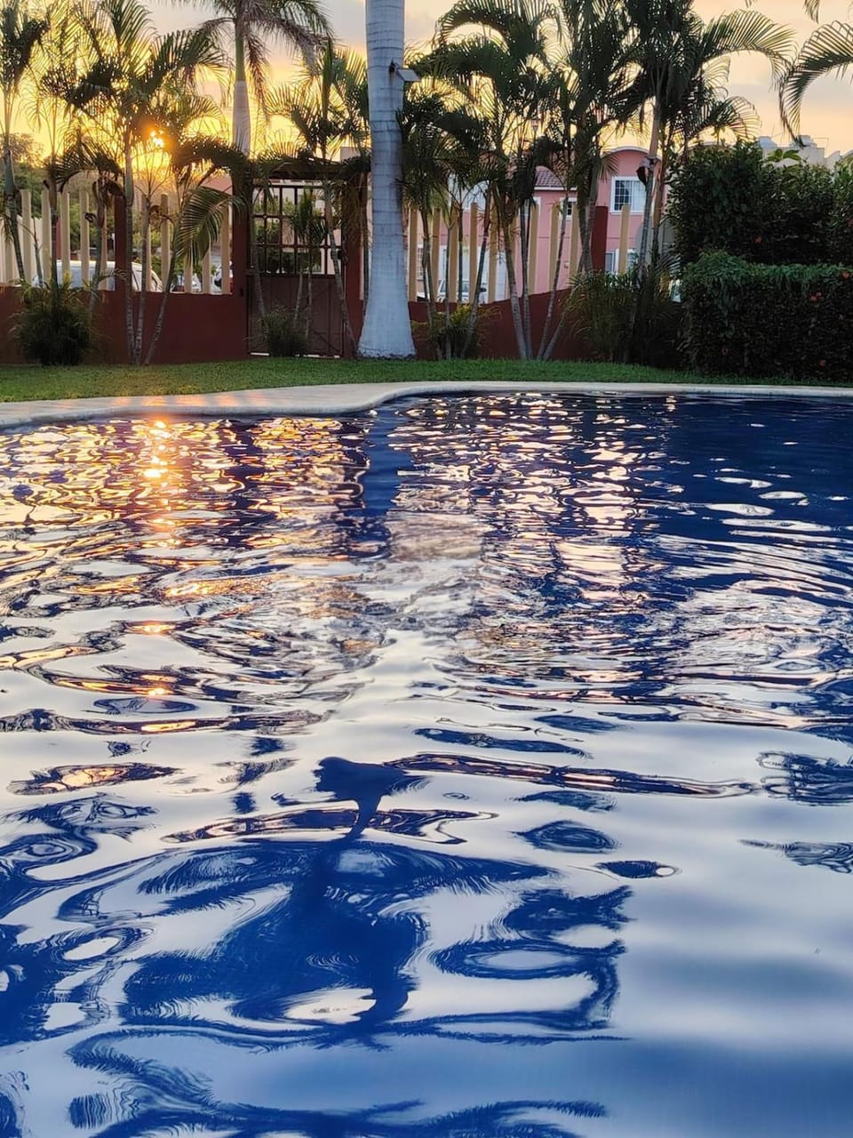 Day, Pool view, Swimming pool