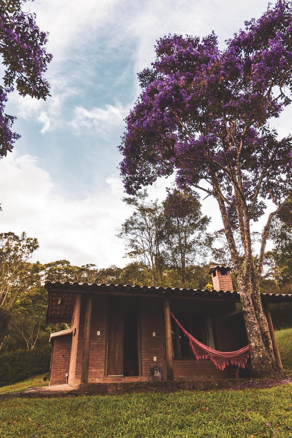 Property building, Spring, Day, Natural landscape, Garden, Garden view