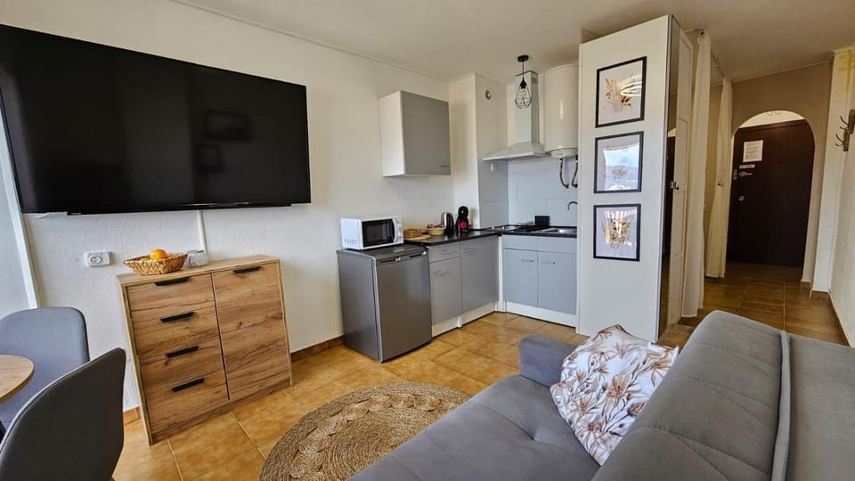 TV and multimedia, Kitchen or kitchenette, Living room, Seating area, Dining area, minibar, pet friendly, stove