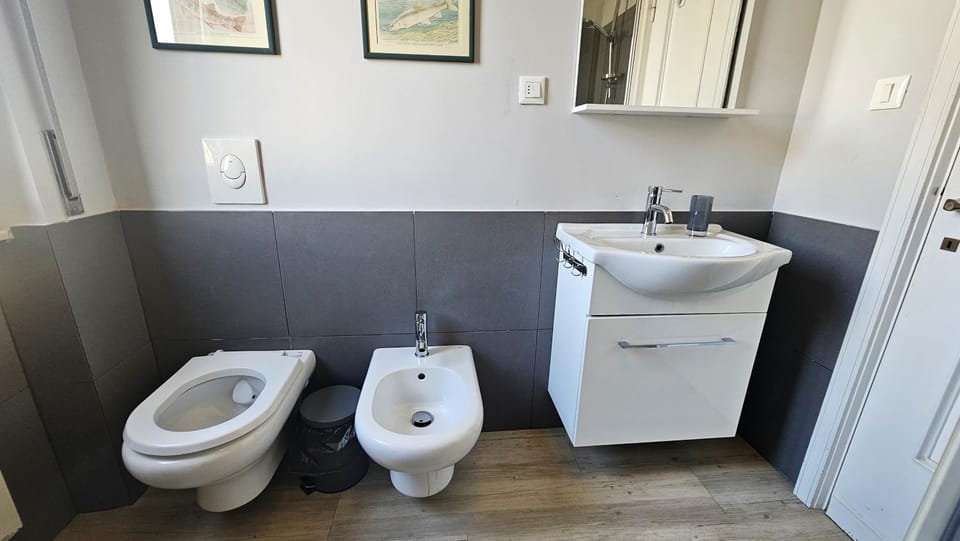 Toilet, Bathroom, bidet
