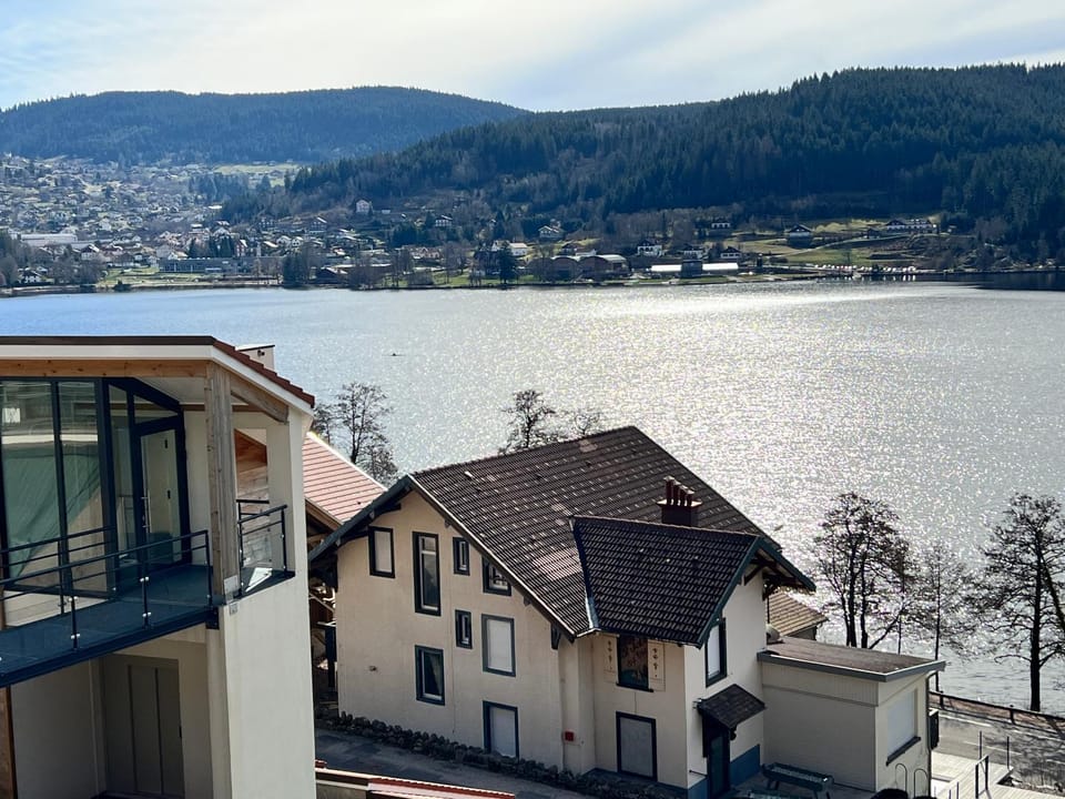 Appartement Neuf VUE LAC 6/8pers Apartment in Gérardmer