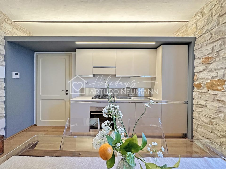 Kitchen or kitchenette, oven, stove