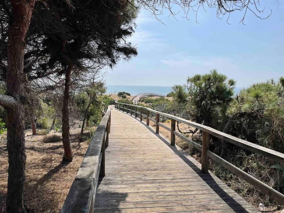 Natural landscape, Sea view