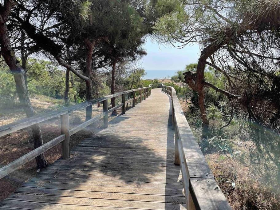 Natural landscape, Sea view