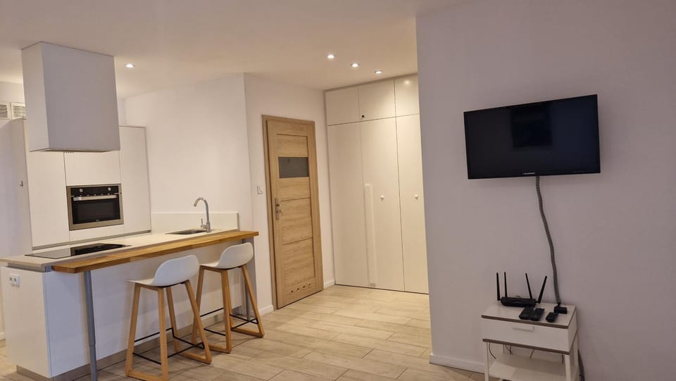 TV and multimedia, Kitchen or kitchenette, minibar, pet friendly, stove