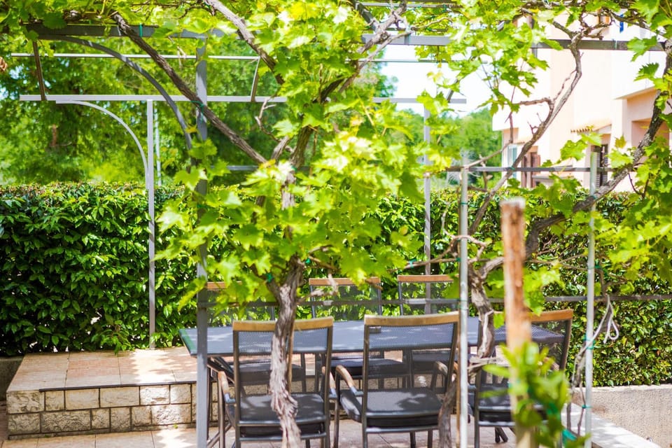 Patio, Spring, Day, Garden, Dining area, Garden view