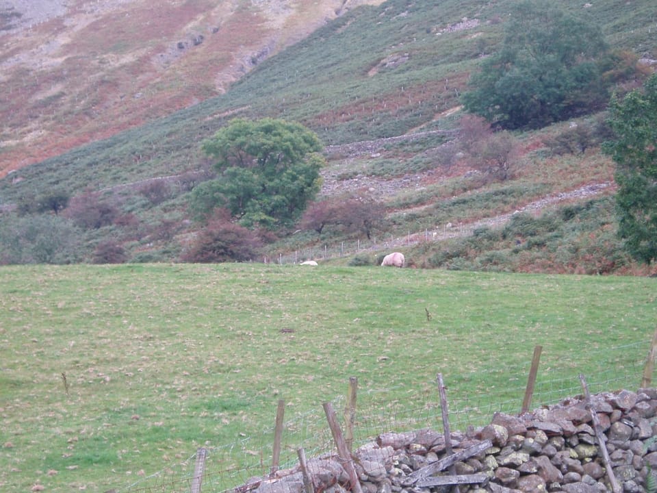 Day, Natural landscape