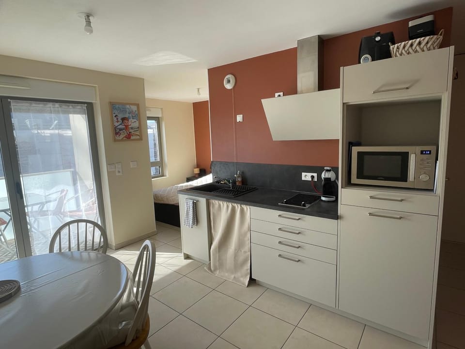 Le chti picard 3 acces plage parking wifi balcon Apartment in Berck