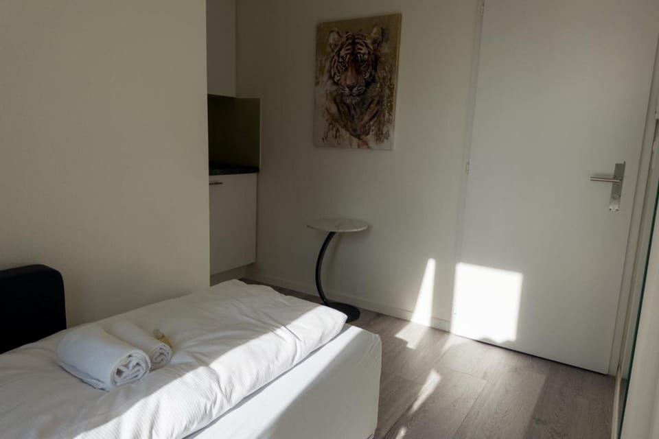 Cozy Urban Studio in the City BE31 Apartment in Zurich City