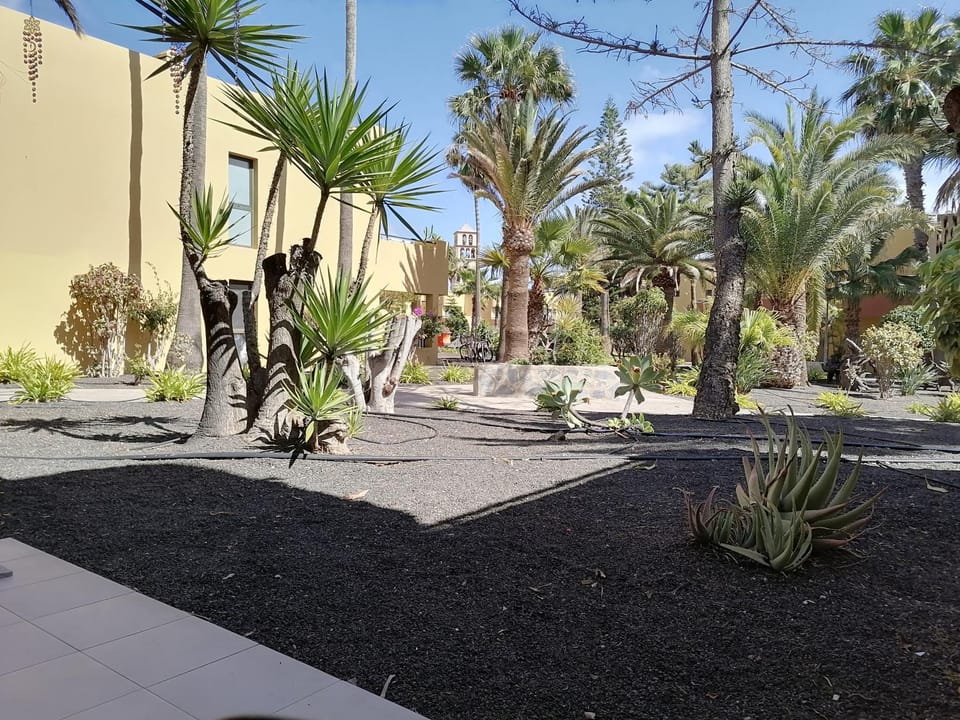Garden view