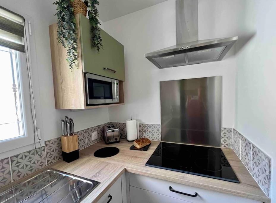 Kitchen or kitchenette, dishwasher, minibar, pet friendly, stove