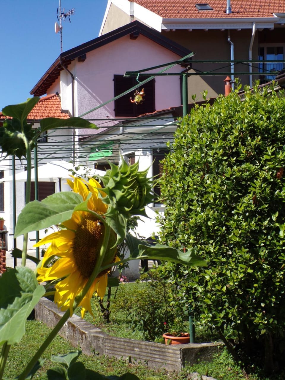 Property building, Garden, Garden view, Seasons