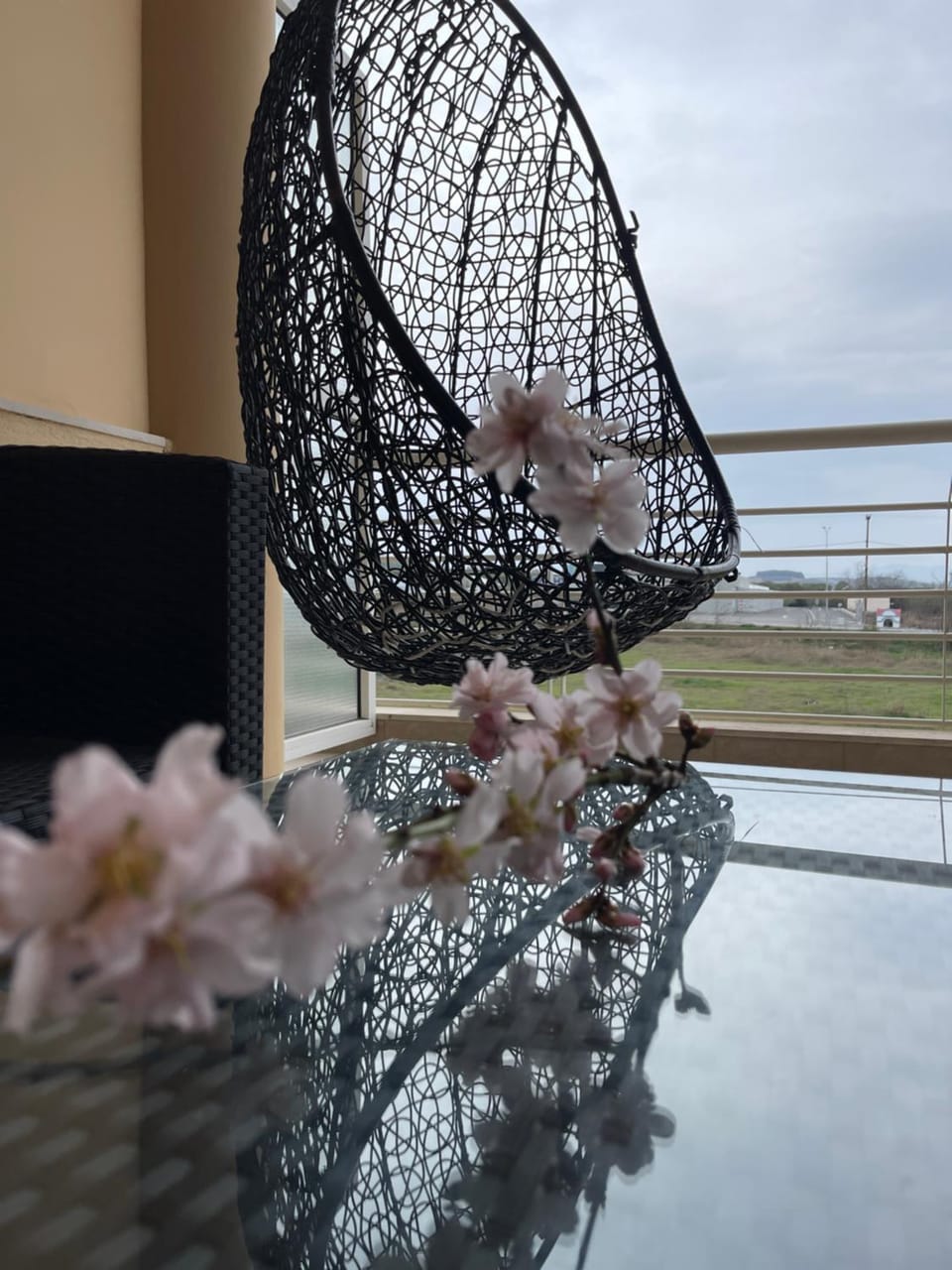 Patio, Balcony/Terrace