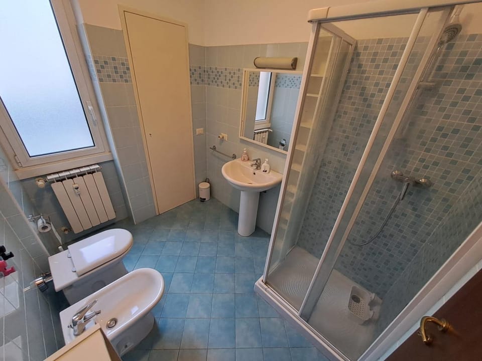 Shower, Toilet, Bathroom, bidet